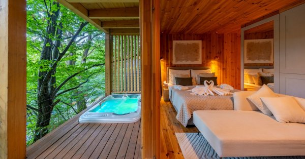 Exkluzív wellness a Treehouses luxus, erdei lombházában